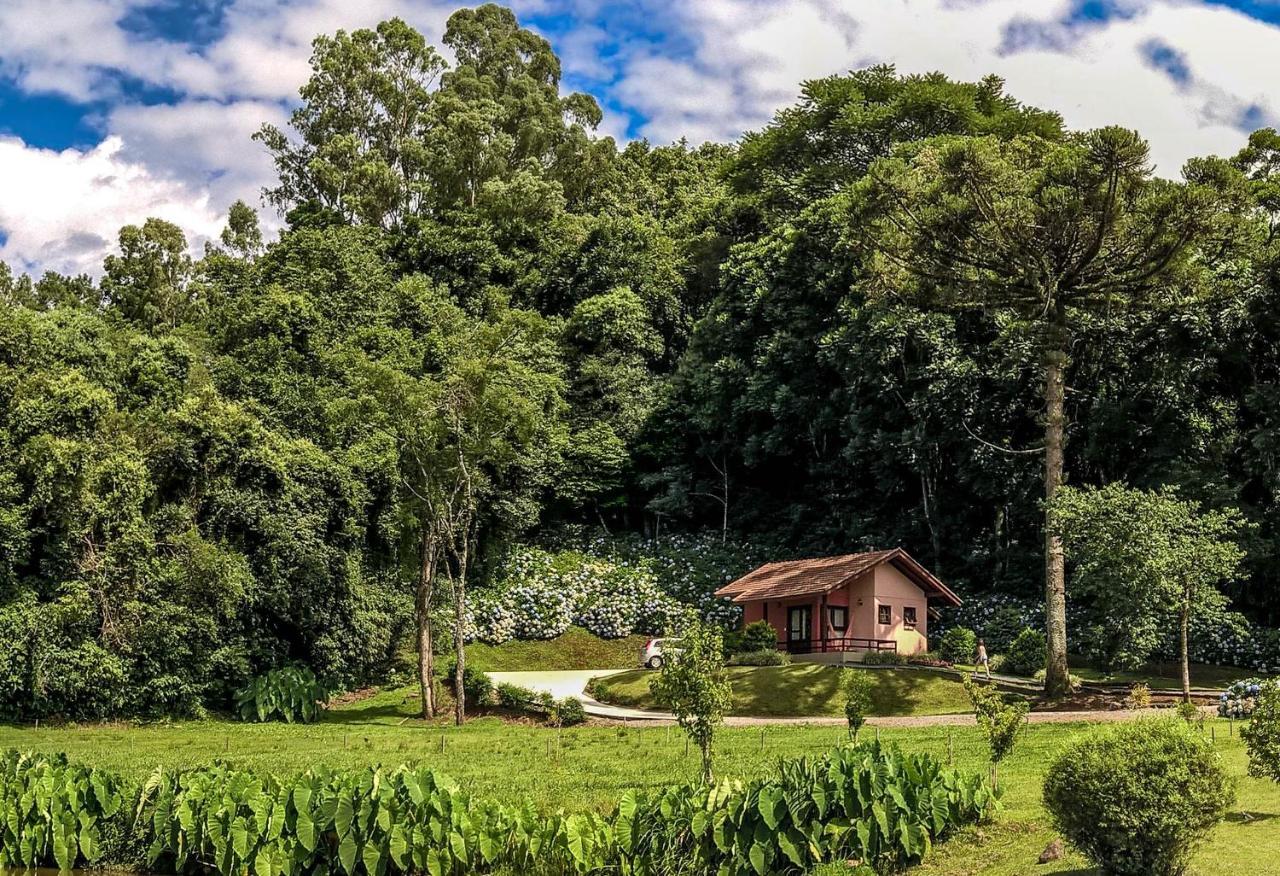 Pousada Pinhal Alto Nova Petropolis Zewnętrze zdjęcie