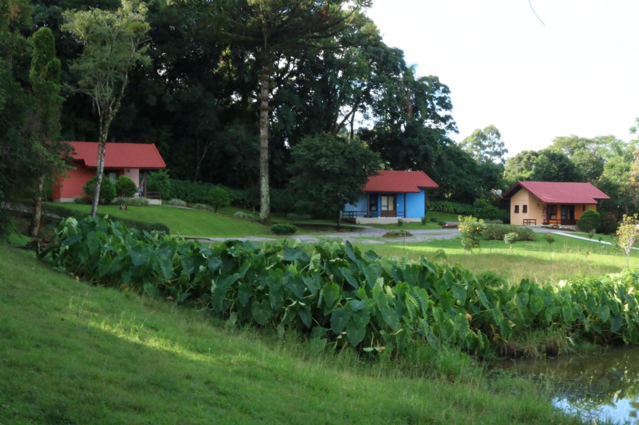 Pousada Pinhal Alto Nova Petropolis Zewnętrze zdjęcie